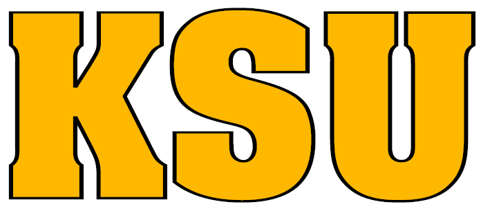 Kennesaw State Owls 2000-2011 Wordmark Logo 02 iron on paper